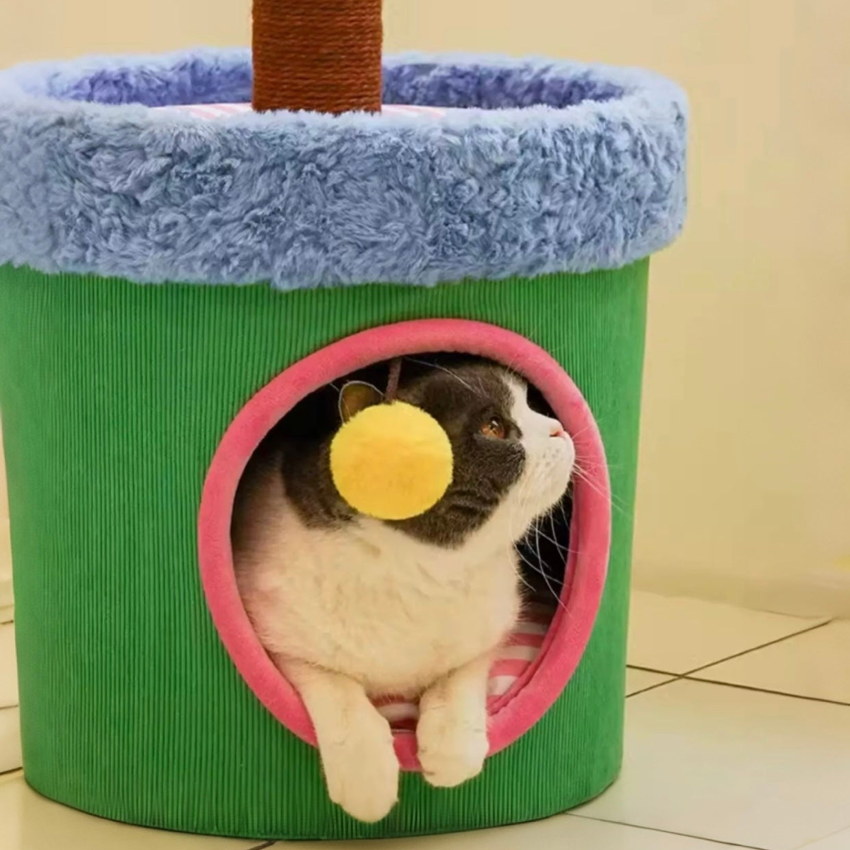 Zeze Cat Scratcher Bed with Scratching Post
