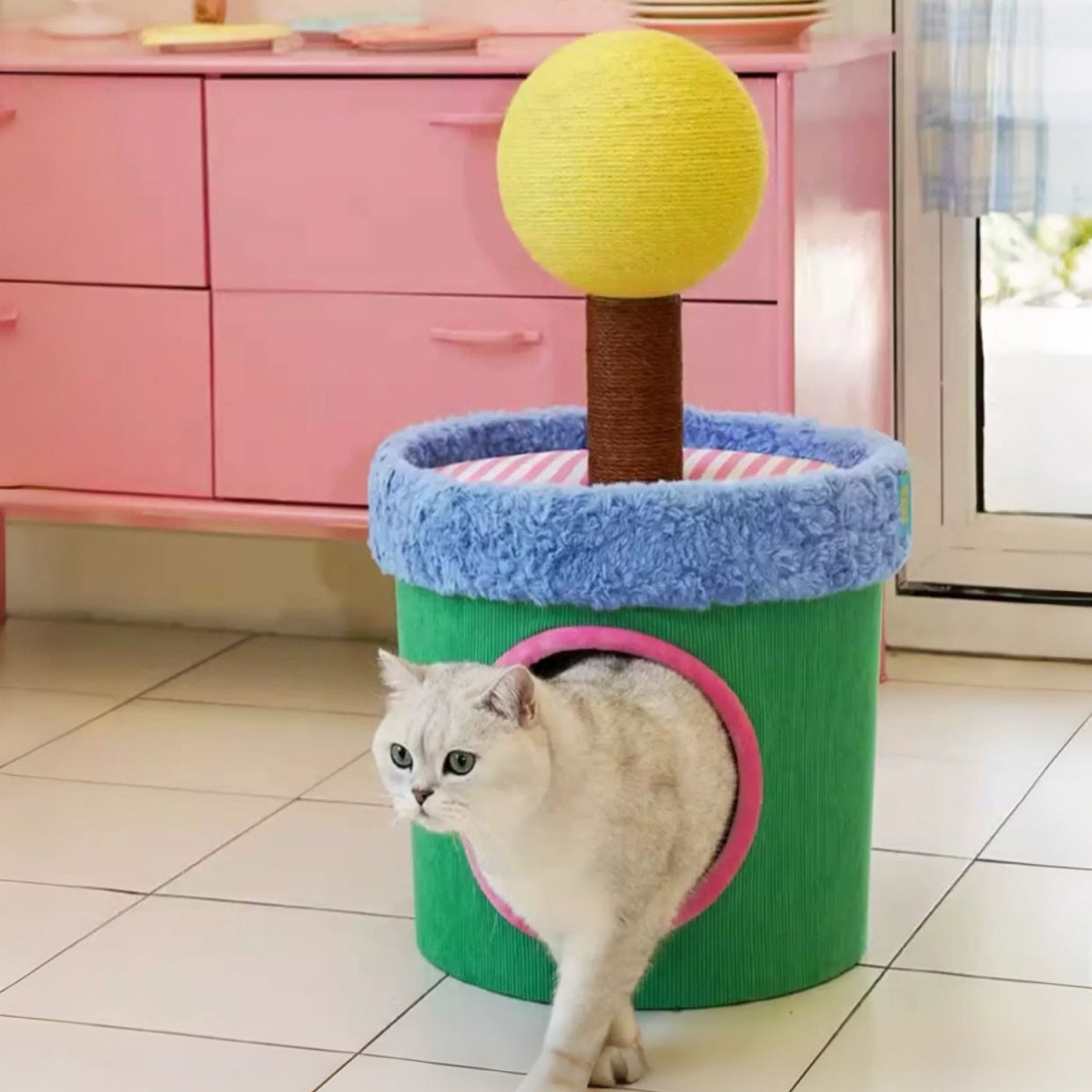 Zeze Cat Scratcher Bed with Scratching Post