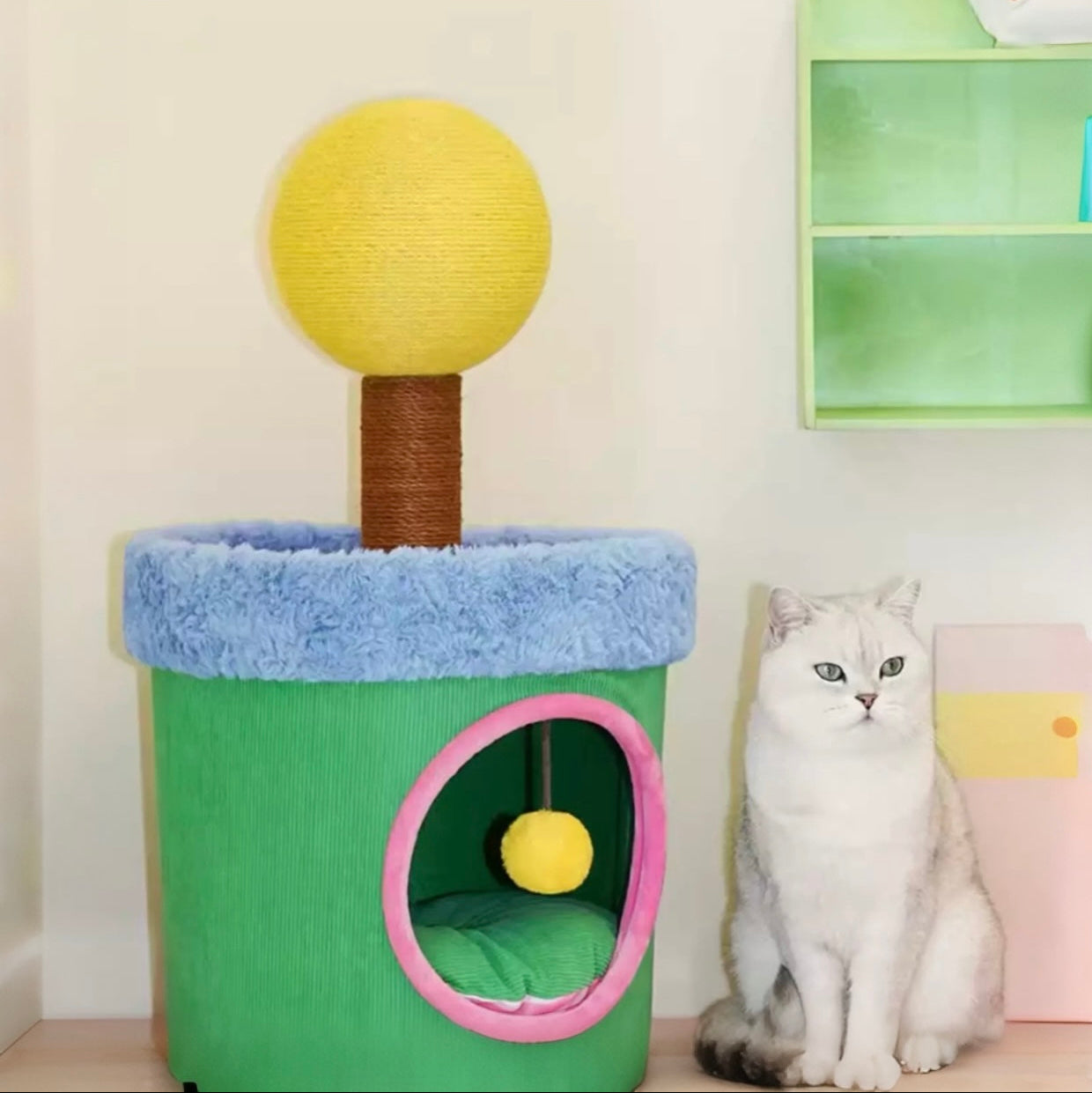 Zeze Cat Scratcher Bed with Scratching Post