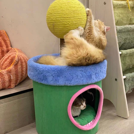 Zeze Cat Scratcher Bed with Scratching Post