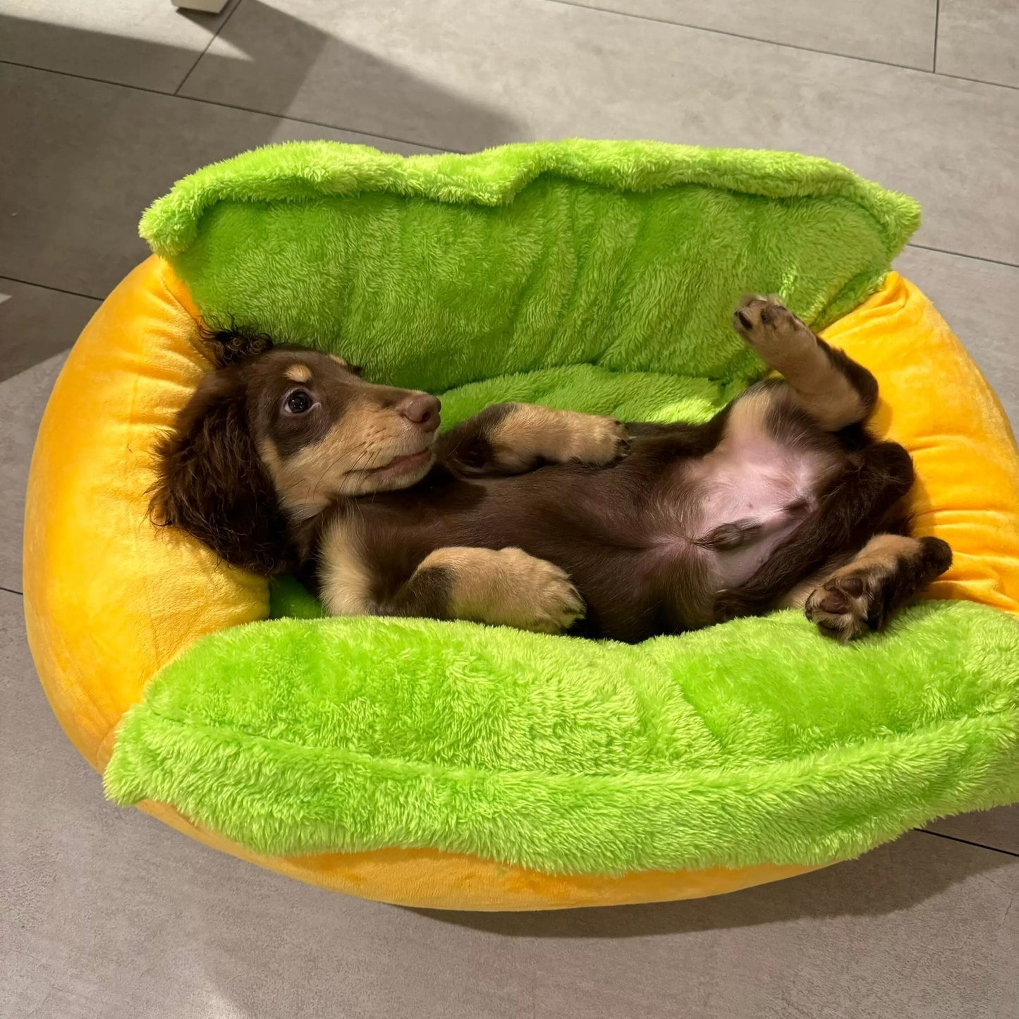 Hot Dog Shaped Pet Bed with Removable Cushion