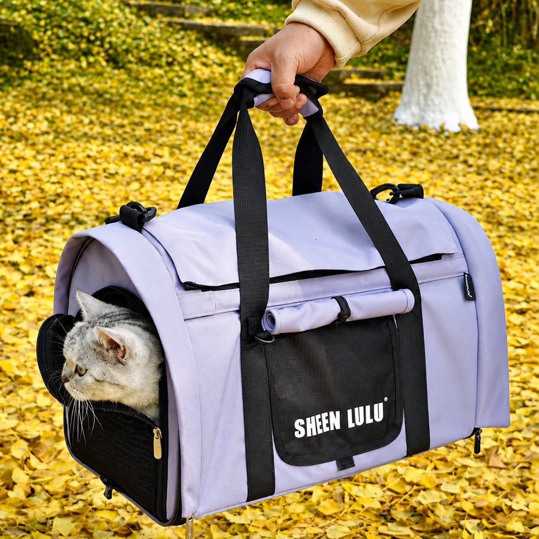 airline approved cat carrier bag with cat looking out while being carried outdoors