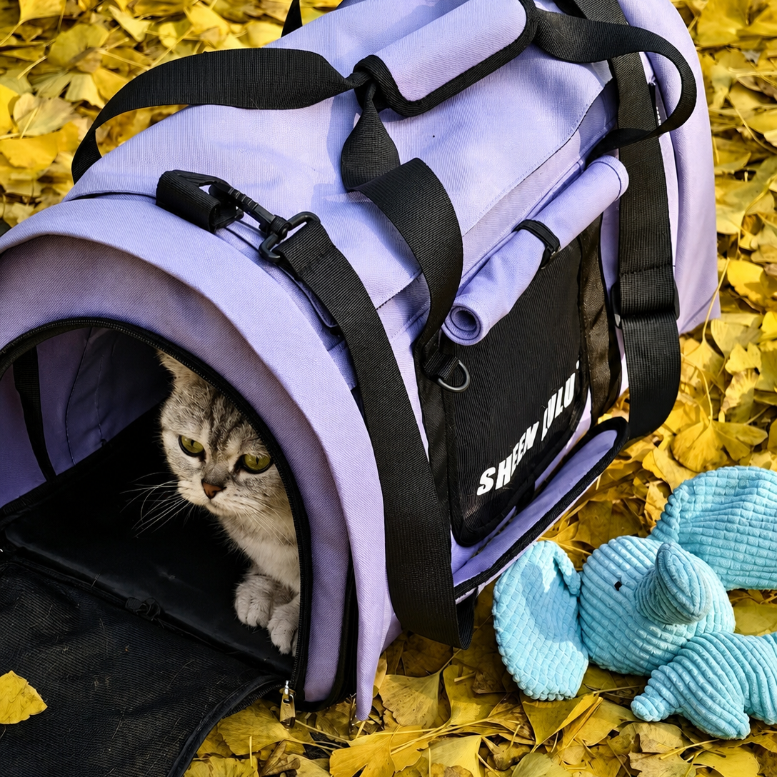 comfortable cat carrier bag with breathable mesh and cozy space for cats