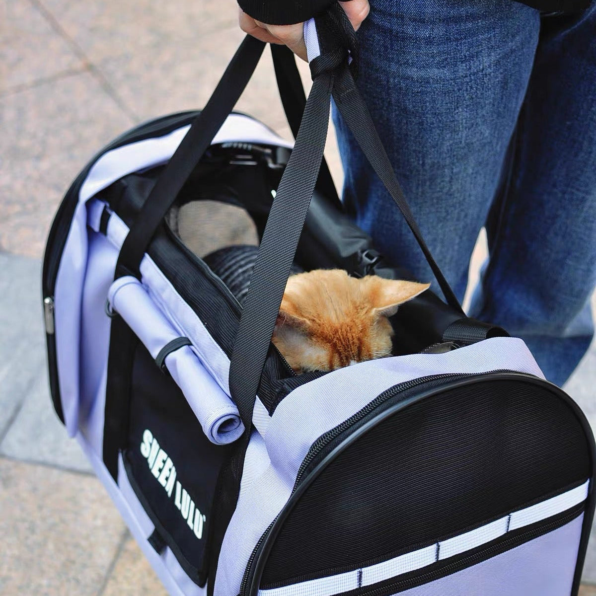 cat carrier bag with large opening entrance for easy pet access and ventilation