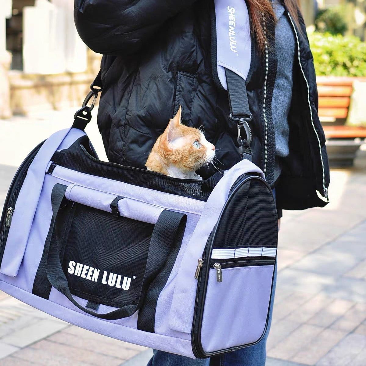 lightweight cat carrier bag for travel and daily outings with shoulder strap